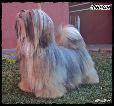 SIENNA OF DIVANNA'S
