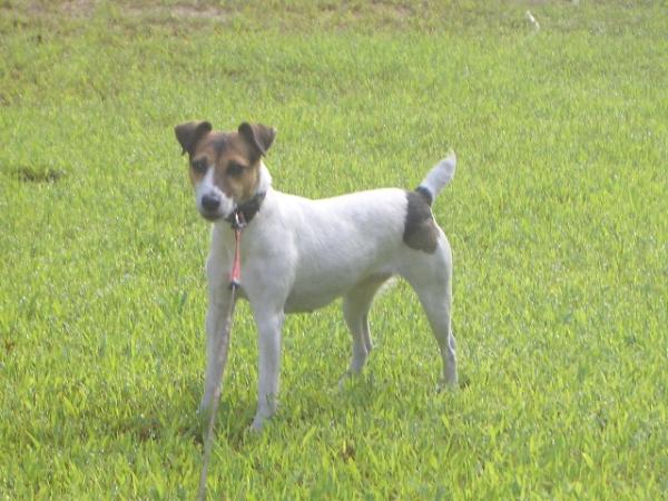 Loyalville's Sweet Kessie