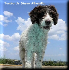 Tundra de Sierra Alhamilla