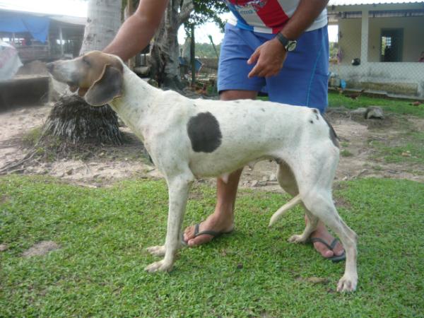 Belinha do E.J.M