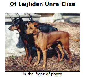 Of Leijliden UNRA ELIZA