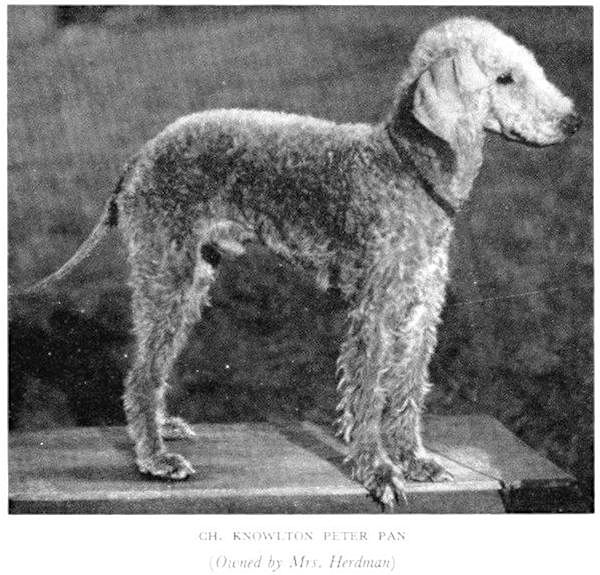 Knowlton Peter Pan