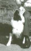 Mac (ISDS 116944)
