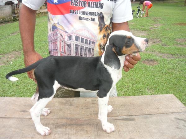 Clover do E.J.M