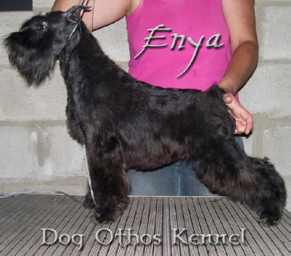 Enya