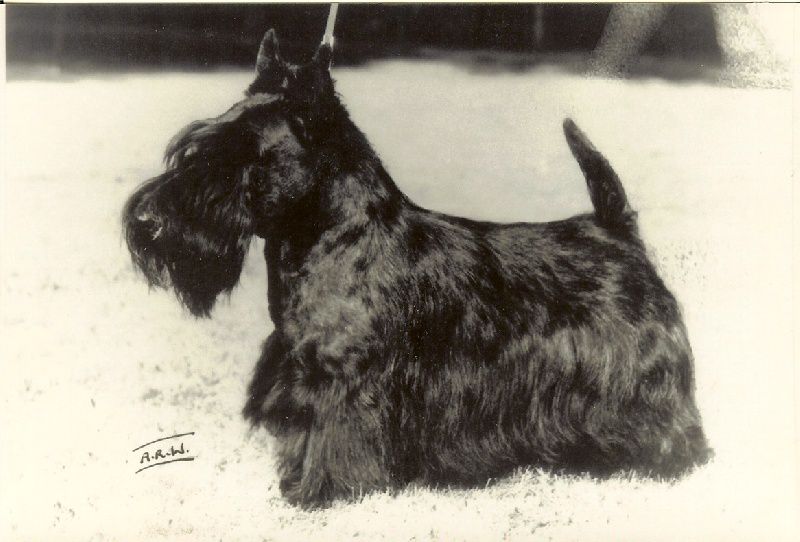Penjetta Pepper pot