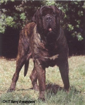 Santmichal Lord Loxley