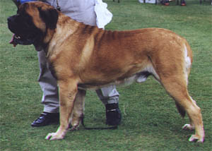 Bwlchygwyn Of Bredwardine