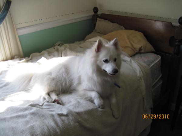 Riley Snow Finche