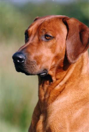 Chilla VAN AEMBUREN