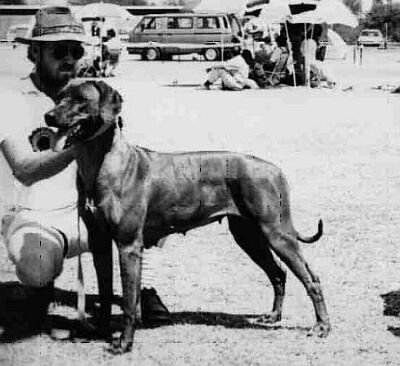 ISIMANGAMANGA Zwena of Besal