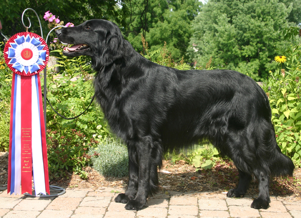 Dowerky Finlaystone
