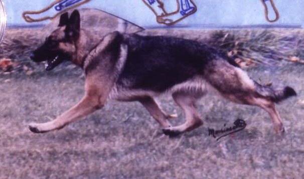 An image