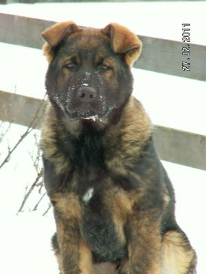 Zoran STASI - 4 months
