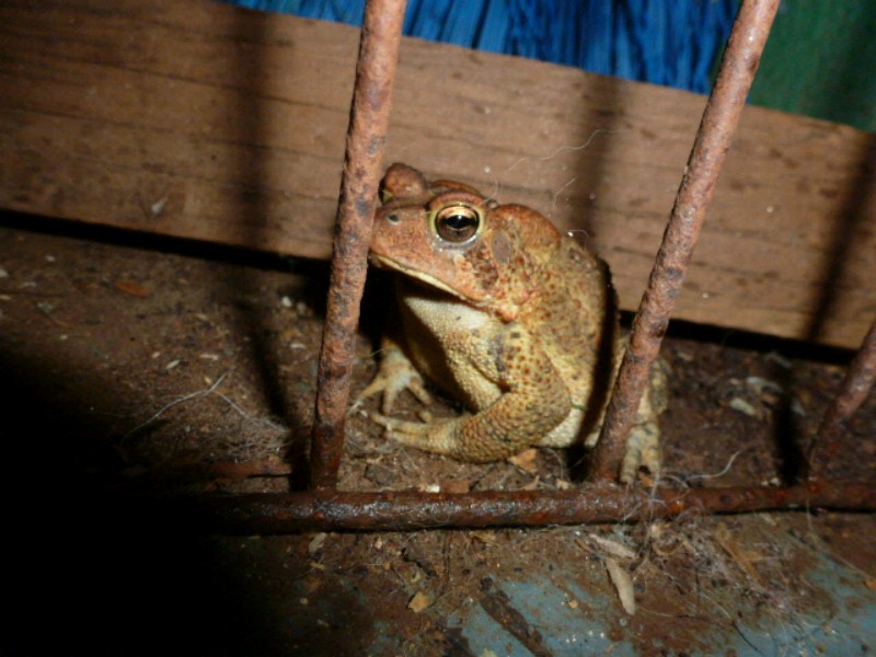 An image