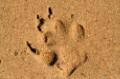 Footprints&nbsp;(admin)