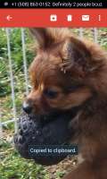 doglover143