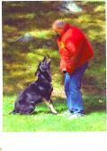 soulehunde
