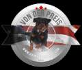 Steel City Rotts